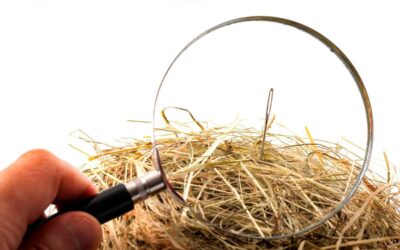 Finding the Transformational Buyer